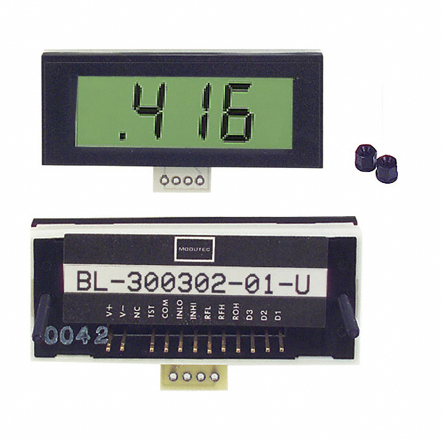 BL-300302-01-U / 인투피온